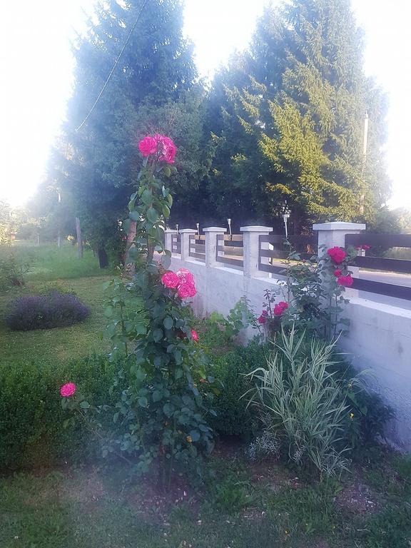 Guesthouse Samolov Vrhovine Dış mekan fotoğraf