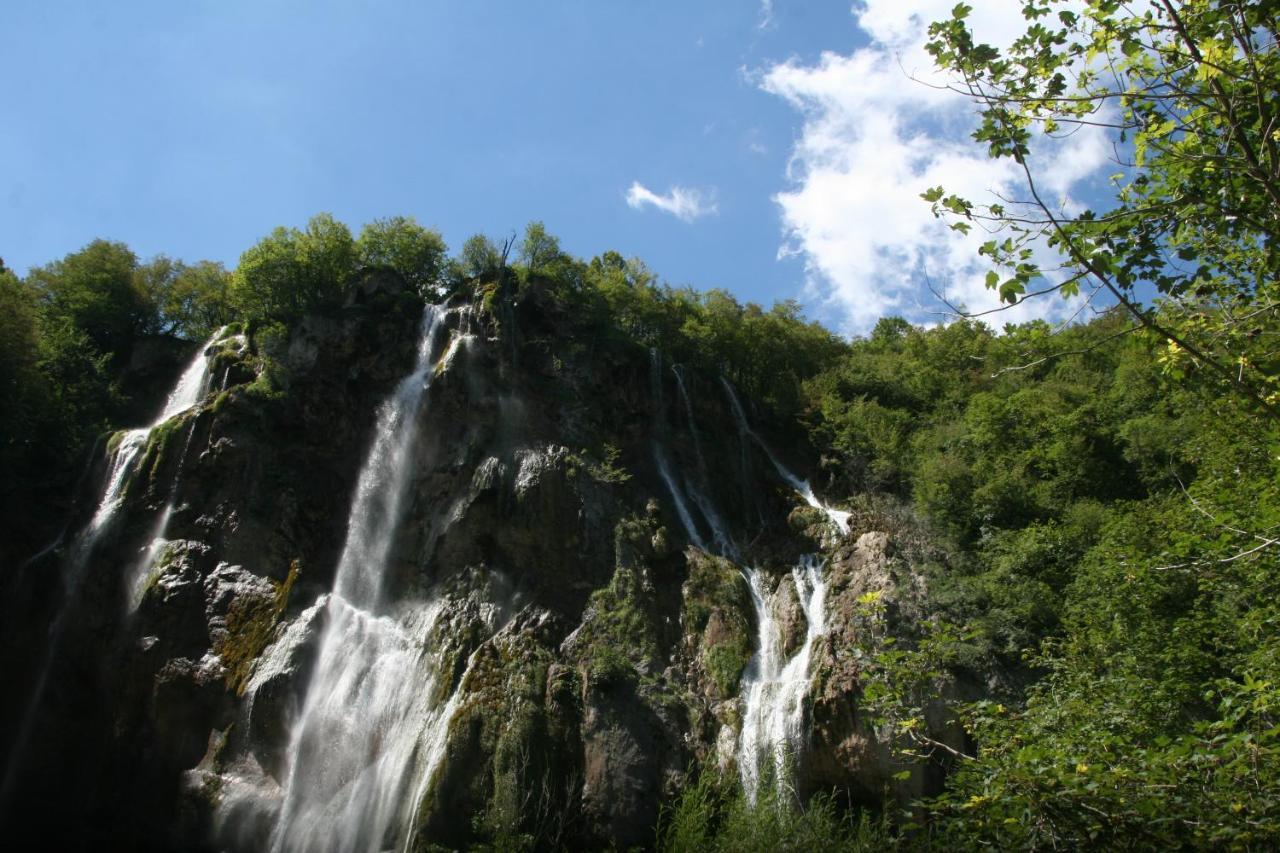 Guesthouse Samolov Vrhovine Dış mekan fotoğraf